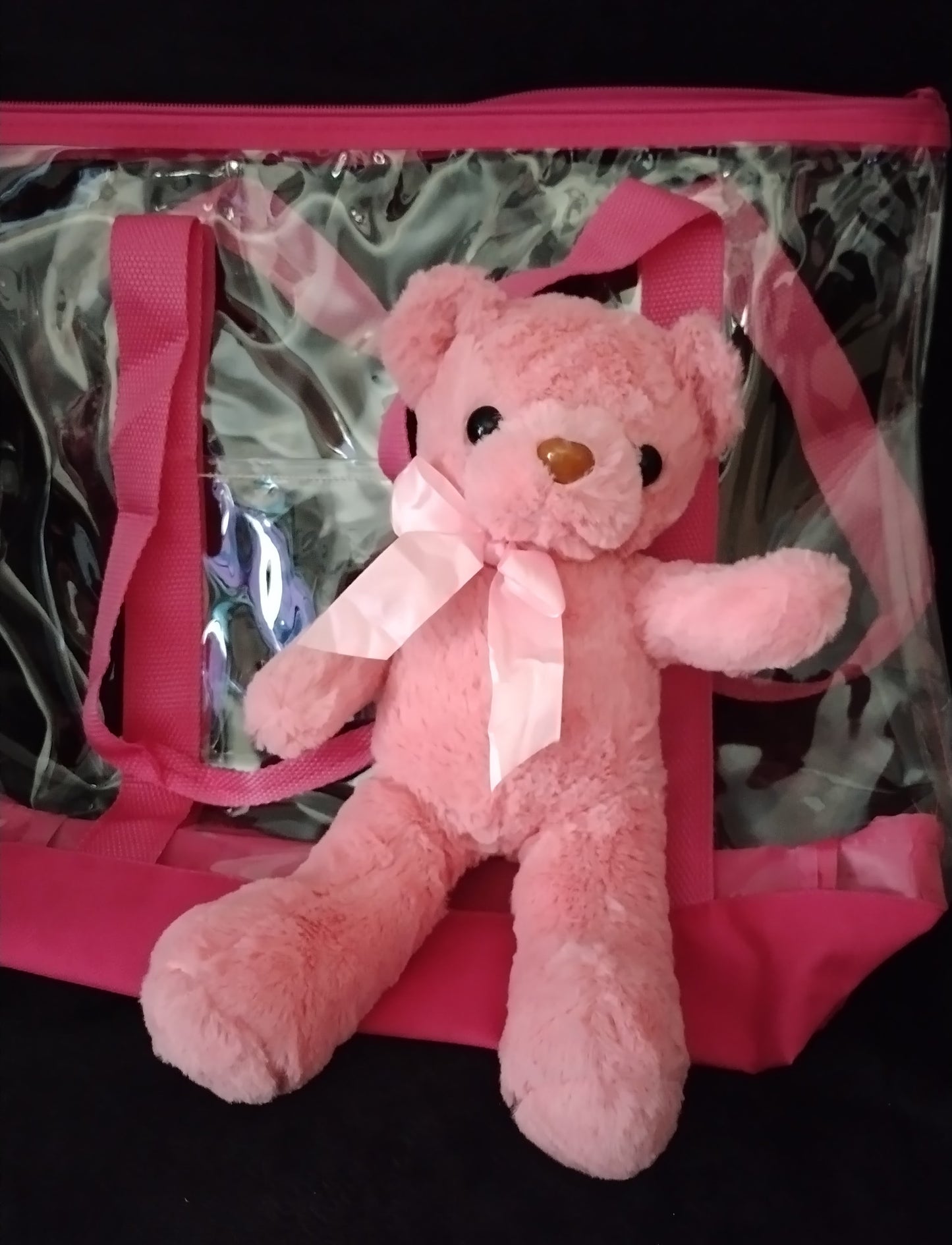 Sneaker/Purse Gift Bags